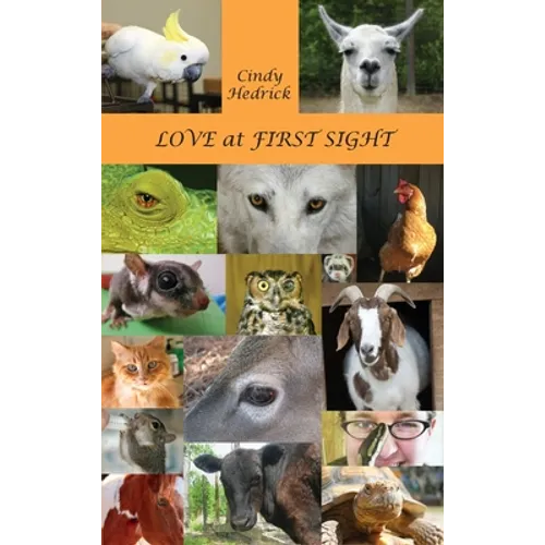 Love at First Sight - Hardcover