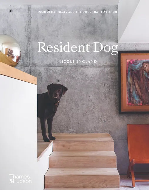 Resident Dog (Compact): Incredible Homes and the Dogs That Live There - Hardcover