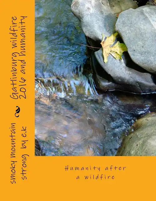 Gatlinburg wildfire 2016 and humanity: Humanity after a wildfire - Paperback