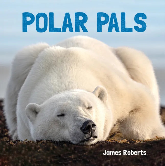 Polar Pals - Board Book