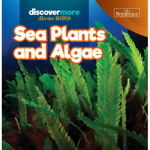 Sea Plants and Algae - Paperback