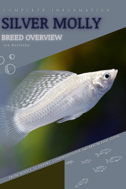 Silver Molly: From Novice to Expert. Comprehensive Aquarium Fish Guide - Paperback