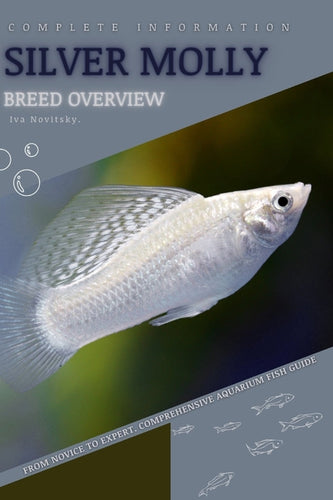 Silver Molly: From Novice to Expert. Comprehensive Aquarium Fish Guide - Paperback