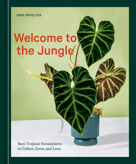 Welcome to the Jungle: Rare Tropical Houseplants to Collect, Grow, and Love - Hardcover