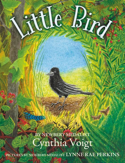 Little Bird - Hardcover
