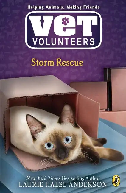 Storm Rescue - Paperback