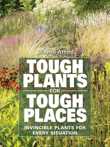 Tough Plants for Tough Places: Invincible Plants for Every Situation - Paperback