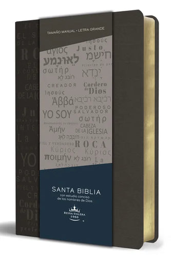 Biblia Rvr 1960 Letra Grande Tamaño Manual, Simil Piel Gris Con Nombres de Dios / Spanish Bible Rvr 1960 Handy Size Large Print Leathersoft Grey, Name - Paperback