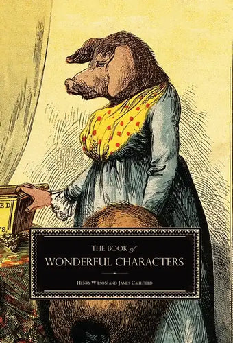 The Book of Wonderful Characters: Memoirs and Anecdotes of Remarkable and Eccentric Persons in All Ages and Countries - Hardcover