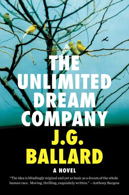The Unlimited Dream Company - Paperback