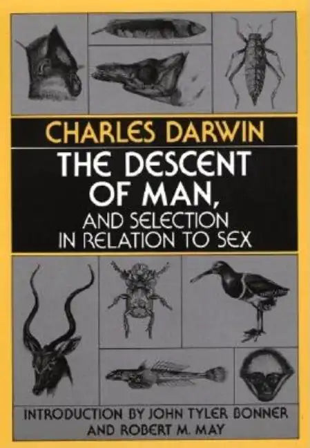 The Descent of Man, and Selection in Relation to Sex - Paperback