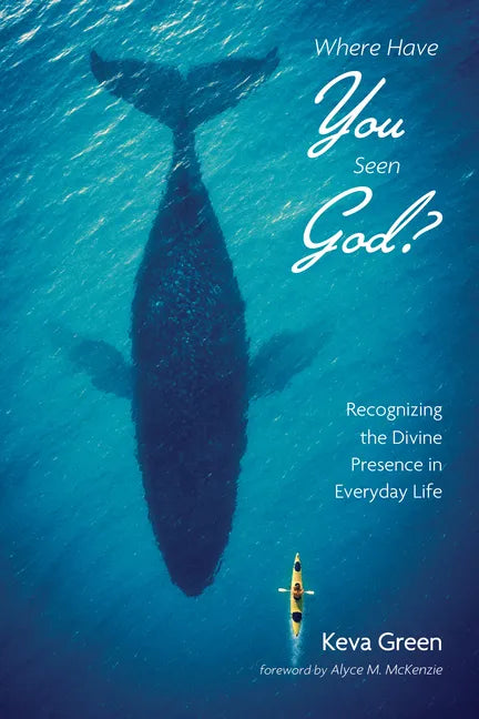Where Have You Seen God?: Recognizing the Divine Presence in Everyday Life - Hardcover