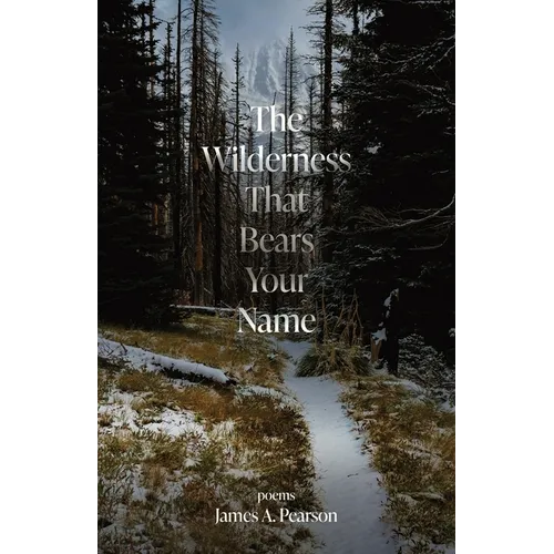 The Wilderness That Bears Your Name - Paperback