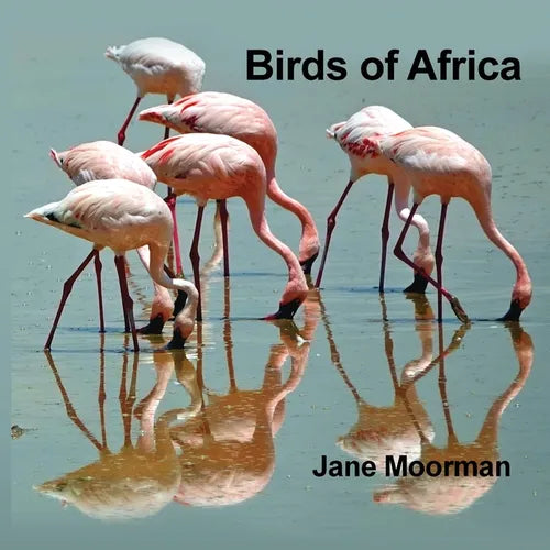 Birds of Africa - Paperback