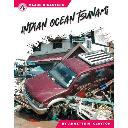 Indian Ocean Tsunami - Library Binding