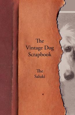 The Vintage Dog Scrapbook - The Saluki - Paperback