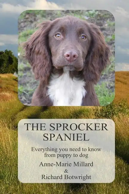 The Sprocker Spaniel: Everything you need to know from puppy to dog - Paperback