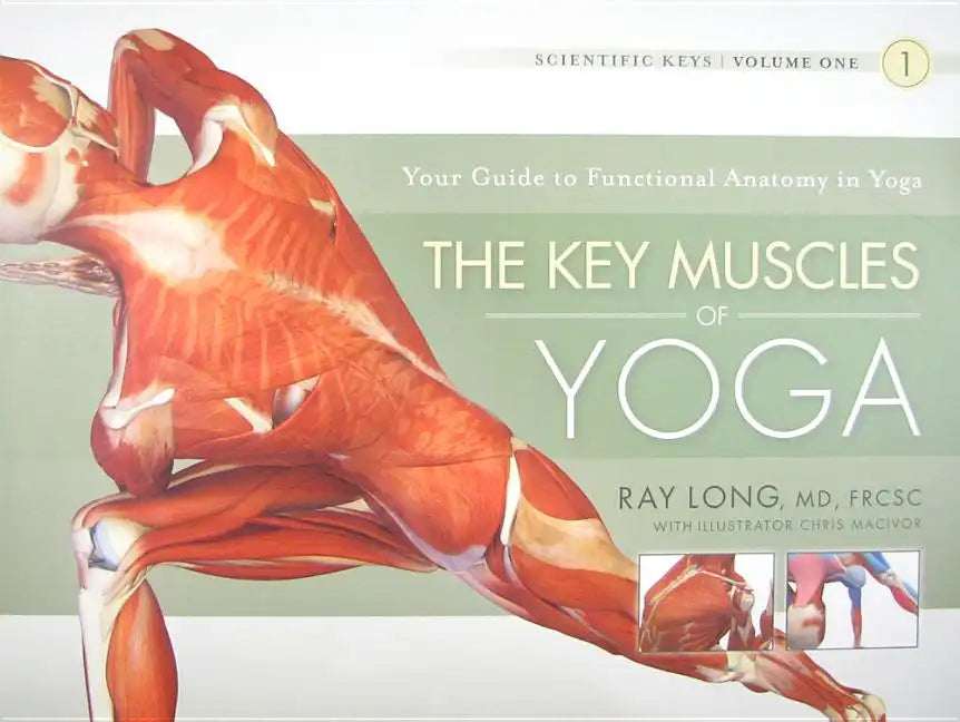 The Key Muscles of Yoga - Paperback