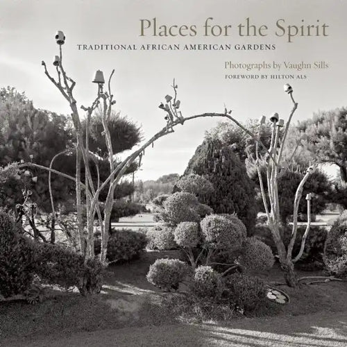 Places for the Spirit: Traditional African American Gardens - Hardcover
