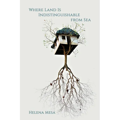 Where Land Is Indistinguishable from Sea - Paperback