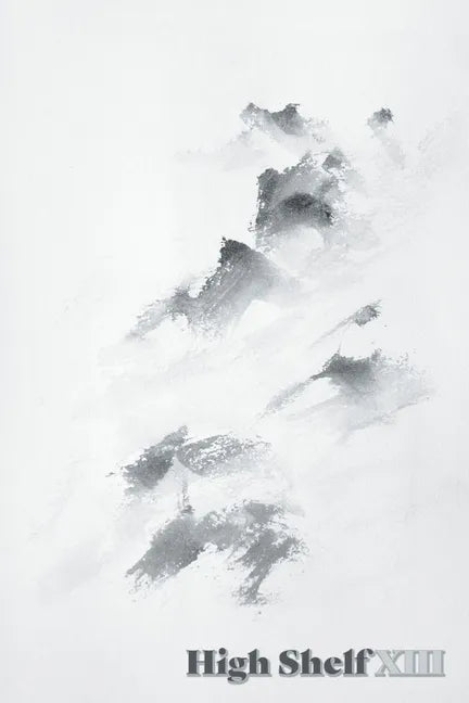 High Shelf XIII - Paperback