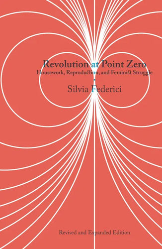 Revolution at Point Zero: Housework, Reproduction, and Feminist Struggle - Paperback