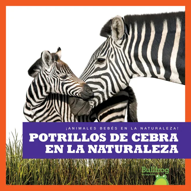 Potrillos de Cebra En La Naturaleza (Zebra Foals in the Wild) - Paperback