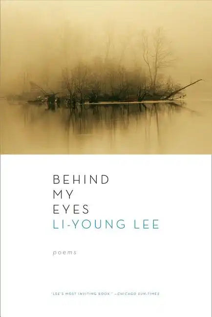 Behind My Eyes - Paperback