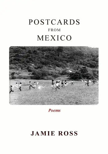 Postcards from Mexico: Poems - Paperback