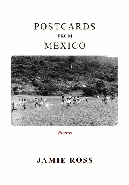 Postcards from Mexico: Poems - Paperback