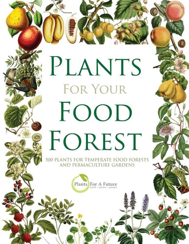 Plants for Your Food Forest: 500 Plants for Temperate Food Forests and Permaculture Gardens - Paperback
