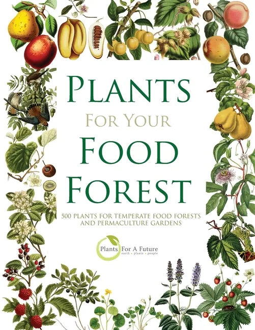 Plants for Your Food Forest: 500 Plants for Temperate Food Forests and Permaculture Gardens - Paperback