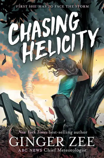 Chasing Helicity: Chasing Helicity-Chasing Helicity, Book 1 - Hardcover