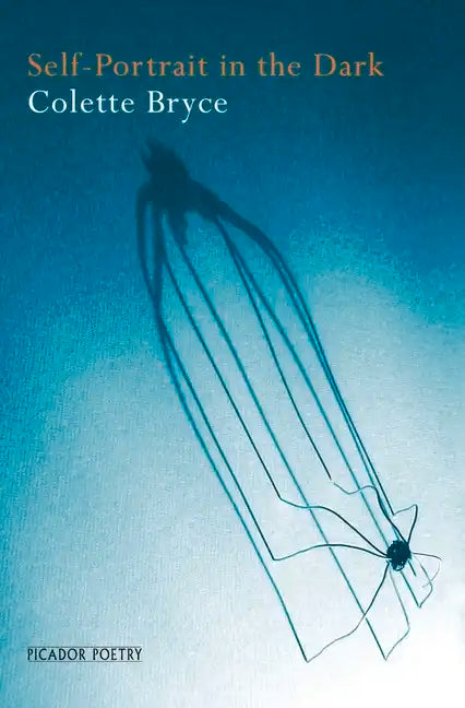 Self-Portrait in the Dark - Paperback