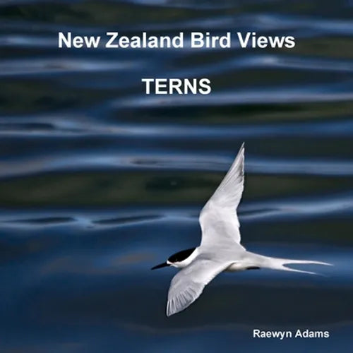 New Zealand bird views: terns - Paperback