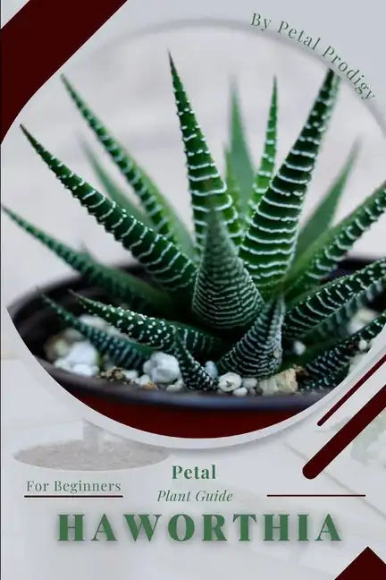 Haworthia: Prodigy Petal, Plant Guide - Paperback