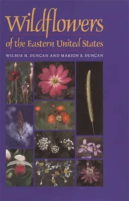 Wildflowers of the Eastern United States - Paperback