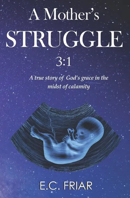 A Mother's Struggle 3: 1 - Paperback