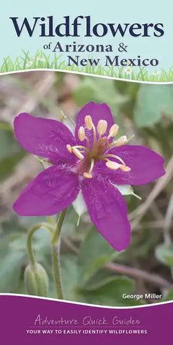 Wildflowers of Arizona & New Mexico: Your Way to Easily Identify Wildflowers - Spiral