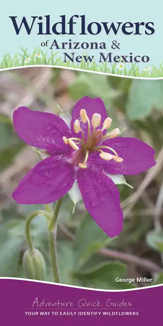 Wildflowers of Arizona & New Mexico: Your Way to Easily Identify Wildflowers - Spiral