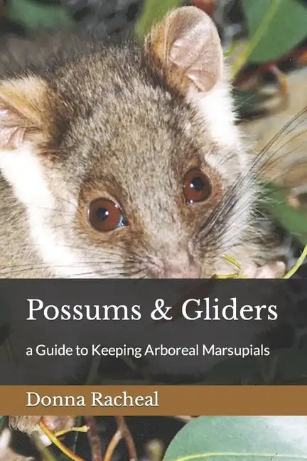 Possums & Gliders: a Guide to Keeping Arboreal Marsupials - Paperback
