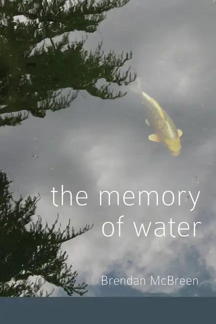 The Memory of Water - Paperback