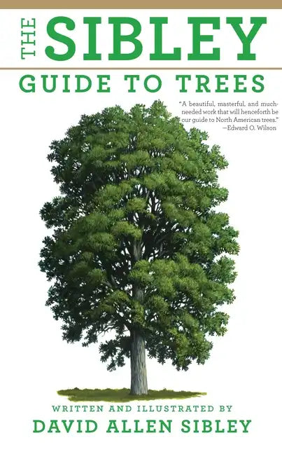 The Sibley Guide to Trees - Paperback