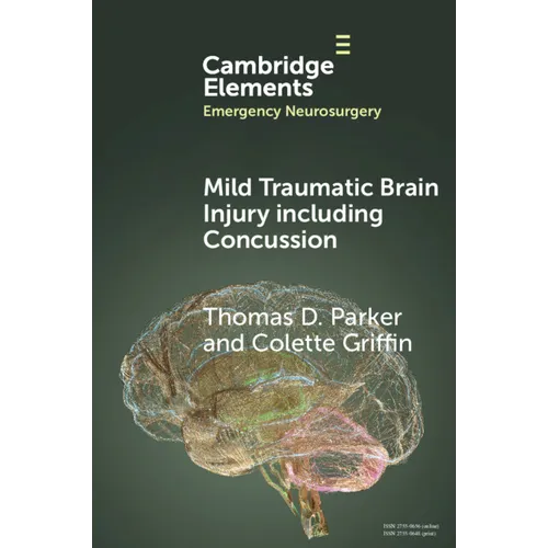 Mild Traumatic Brain Injury Including Concussion - Paperback