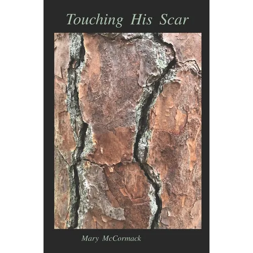 Touching His Scar - Paperback