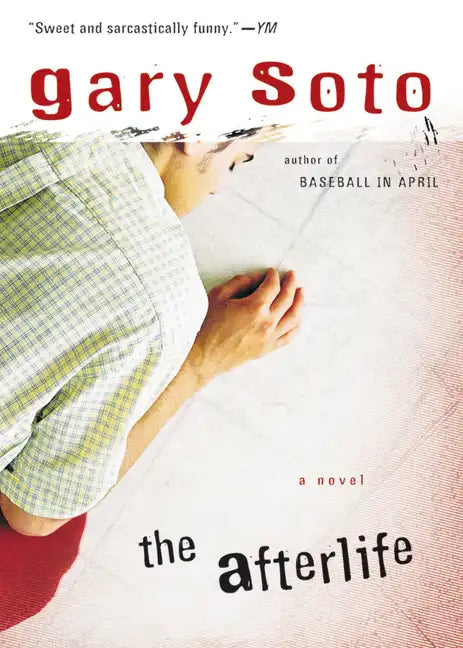 The Afterlife - Paperback