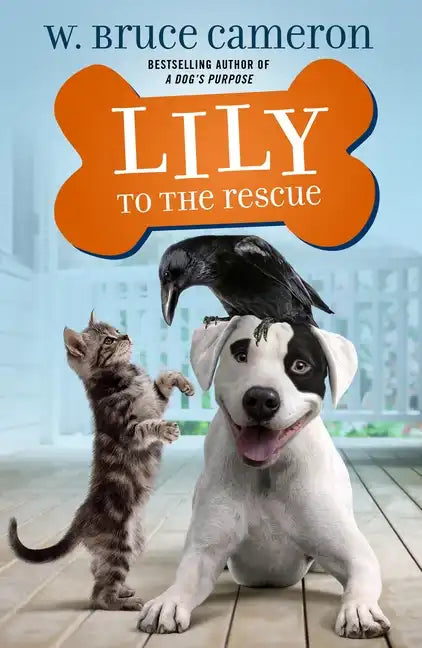 Lily to the Rescue - Paperback