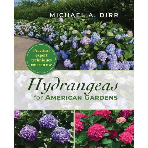 Hydrangeas for American Gardens - Paperback