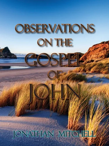 Observations on the Gospel of John - Paperback
