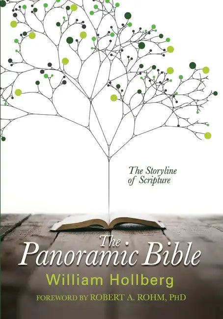 The Panoramic Bible: The Storyline of Scripture - Paperback